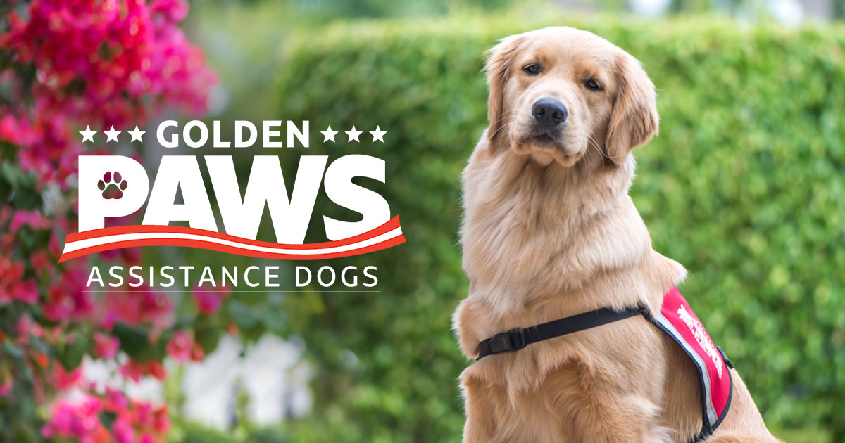 golden-paws